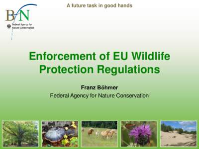 A future task in good hands  Enforcement of EU Wildlife Protection Regulations Franz Böhmer Federal Agency for Nature Conservation