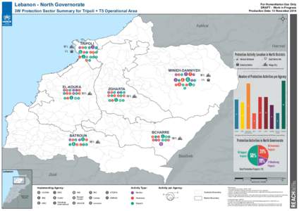 REACH_LBN_Map_NorthGovernorate_3wProtectionMappingTripoliT5_13Nov2014_A3