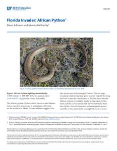 Alachua County /  Florida / Burmese Python / Institute of Food and Agricultural Sciences / Pythonidae / Python sebae / University of Florida / Florida / Monty Python / Fauna of Asia / Gainesville /  Florida / Zoology