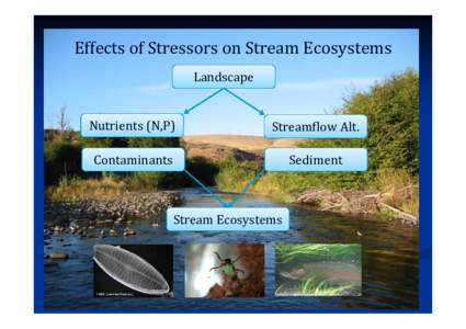 Effects of Stressors on Stream Ecosystems Landscape Nutrients (N,P) Streamflow Alt.