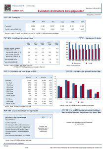 Dossier local - Commune - Pessac