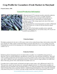 Crop Profile for Cucumbers (Fresh Market) in Maryland Prepared January, 2000 General Production Information Maryland ranked 14th in national cucumber and pickle production in 1997, and accounted for 2% of U.S. cucumber a