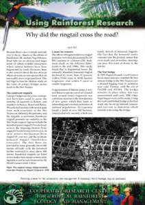 Why did the ringtail cross the road? April 2002 Because there’s now a simple and safe way to do so - thanks to the efforts of Rainforest CRC student Nigel Weston.