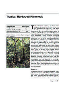 Tropical Hardwood Hammock  T