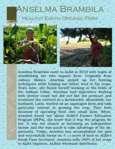 Anselma Brambila Healthy Earth Organic Farm Anselma Brambila came to ALBA in 2010 with hopes of establishing her own organic farm. Originally from Jalisco, Mexico, Anselma picked up her farming