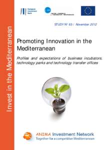 Invest in the Mediterranean  STUDY N° 63 / November 2012 Promoting Innovation in the Mediterranean