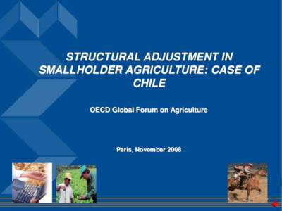 STRUCTURAL ADJUSTMENT IN SMALLHOLDER AGRICULTURE: CASE OF CHILE OECD Global Forum on Agriculture  Paris, November 2008