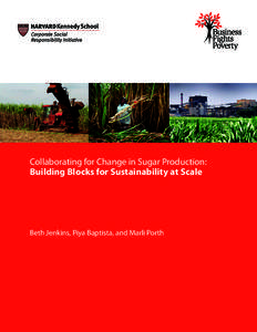 Collaborating for Change in Sugar Production: Building Blocks for Sustainability at Scale Beth Jenkins, Piya Baptista, and Marli Porth  Written by Beth Jenkins, Piya Baptista, and Marli Porth