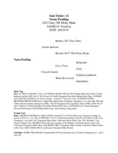 Sale Order: 11 Name Pending 2013 Grey TB Molly Mule NASMA #: Pending DOB: [removed]