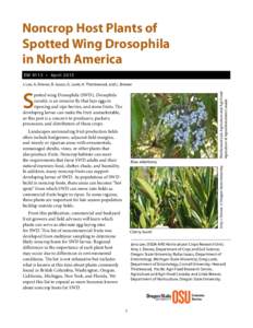 Noncrop Host Plants of Spotted Wing Drosophila in North America E M 9113 • Apr il 2015 J. Lee, A. Dreves, R. Isaacs, G. Loeb, H. Thistlewood, and L. Brewer Thistlewood Lab, Agriculture and Agri-Food