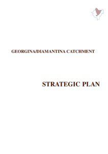 GEORGINA/DIAMANTINA CATCHMENT  STRATEGIC PLAN