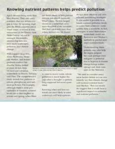 Knowing nutrient patterns helps predict pollution April showers bring more than May flowers. They also carry nutrients that can reduce oxygen in lakes by spurring algal growth. While concerns about ‘dead zones’ conti
