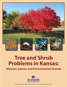 Tree and Shrub Problems in Kansas: Diseases, Insects, and Environmental Stresses Kansas State University Agricultural Experiment Station and Cooperative Extension Service