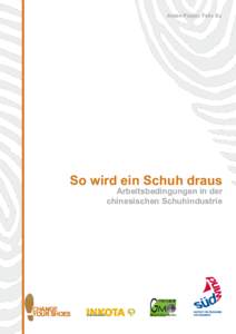 Anton Pieper, Felix Xu  So wird ein Schuh draus Arbeitsbedingungen in der chinesischen Schuhindustrie