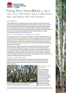 Fuzzy Box Woodland on alluvial soils of the South Western Slopes, Darling Riverine Plains and Brigalow Belt South bioregions - Identification guidelines for Endangered Ecological Communities