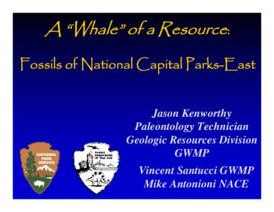 A “Whale” of a Resource: Fossils of National Capital Parks-East Jason Kenworthy Paleontology Technician Geologic Resources Division GWMP
