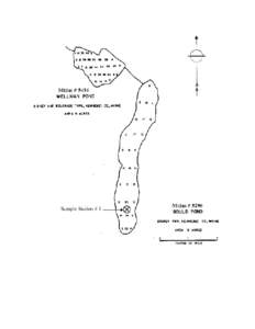 Golden shiner / Water / Geography of Massachusetts / Long Pond / Lovewell Pond / Habitats / Pond / Wetlands