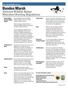 Waterfowl hunting / Hunting / Oregon / Bandon /  Oregon / Animals in sport / Oregon Coast National Wildlife Refuge Complex / West Coast of the United States / Oregon Coast / Bandon Marsh National Wildlife Refuge