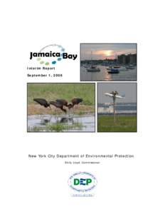 Jamaica Bay Watershed Protection Plan
