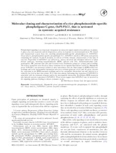 Model organisms / Cell signaling / Peripheral membrane proteins / Pseudomonadales / Rice / Pseudomonas syringae / Polymerase chain reaction / Lipid signaling / Arabidopsis thaliana / Biology / Chemistry / Signal transduction