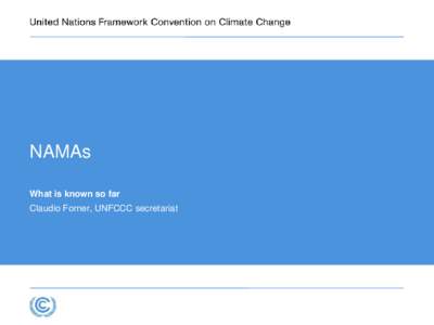 Climate change / Nationally Appropriate Mitigation Action / Bali Road Map / Climate change policy / United Nations Framework Convention on Climate Change / Environment