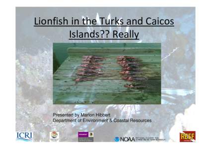 Lionfish in the Turks and Caicos Islands?? Really Presented by Marlon Hibbert Department of Environment & Coastal Resources