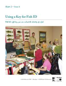 MinnAqua Fishing: Get in the Habitat! Lesson 2:4 - Using a Key for Fish ID