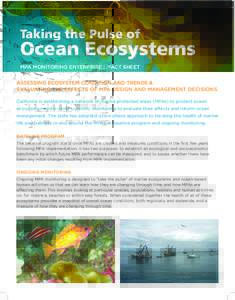 Taking the Pulse of  Ocean Ecosystems MPA MONITORING ENTERPRISE :: FACT SHEET ASSESSING ECOSYSTEM CONDITION AND TRENDS & EVALUATING THE EFFECTS OF MPA DESIGN AND MANAGEMENT DECISIONS