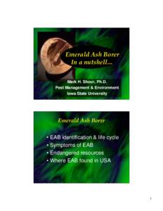 Emerald Ash Borer In a nutshell… Mark H. Shour, Ph.D. Pest Management & Environment Iowa State University