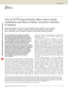 © 2007 Nature Publishing Group http://www.nature.com/naturegenetics  LETTERS Loss of ACTN3 gene function alters mouse muscle metabolism and shows evidence of positive selection