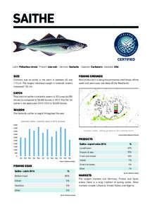 Fish / Geography of Europe / Europe / Fisheries law / Fisheries science / Natural resource management / Sustainable fisheries / Pollachius virens / Pollock / Fisheries management / Iceland / Fishing