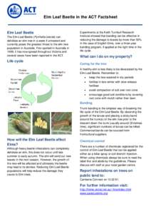 Elm Leaf Beetle in the ACT Factsheet  Elm Leaf Beetle The Elm Leaf Beetle (Pyrrhalta luteola) can defoliate an elm tree in a week if untreated and currently poses the greatest threat to the elm tree