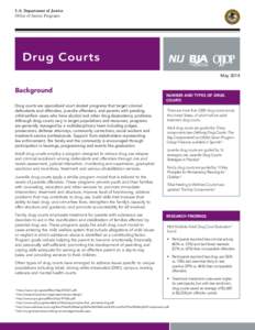 Fact Sheet: Drug Courts Overview