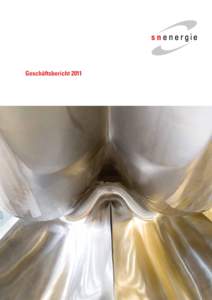 Geschäftsbericht 2011  Titelseite | Peltonturbine Sernf Foto | Barbara Bühler, Vaduz  1