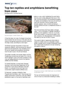 Top ten reptiles and amphibians benefitting from zoos