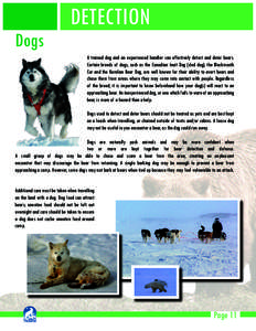 Dogs  DETECTION A trained dog and an experienced handler can effectively detect and deter bears. Certain breeds of dogs, such as the Canadian Inuit Dog (sled dog), the Blackmouth Cur and the Karelian Bear Dog, are well k