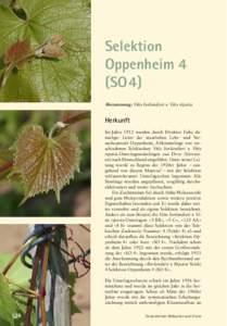 Selektion Oppenheim 4 (SO 4)