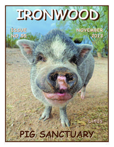 Biology / Agriculture / Domestic pig / Pig / Sty / Cultural references to pigs / Guinea pig / Livestock / Zoology / Ironwood Pig Sanctuary