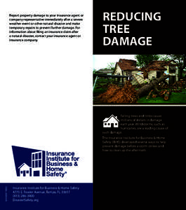 Report property damage to your insurance agent or company representative immediately after a severe weather event or other natural disaster and make temporary repairs to prevent further damage. For information about fili