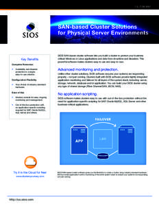 SOLUTION BRIEF  SAN-based Cluster Solutions for Physical Server Environments  Key Benefits