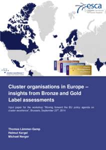 Cluster organisations in Europe – Experiences Benchmarking insights from Bronze and Gold/