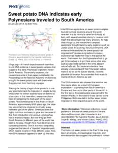 Sweet potato DNA indicates early Polynesians traveled to South America