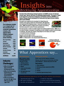 NA  Insights into Bricklaying Apprenticeships