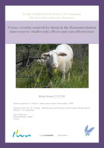 Faculty of Earth and Life Sciences, VU Amsterdam MSc Environment and Resource Management Prunus serotina removal by sheep in the Kennemerduinen dune reserve: biodiversity effects and cost-effectiveness