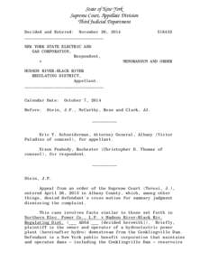 State of New York Supreme Court, Appellate Division Third Judicial Department Decided and Entered: November 26, 2014 ________________________________ NEW YORK STATE ELECTRIC AND