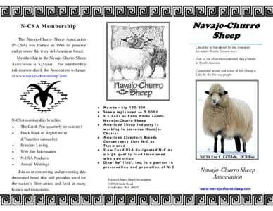 Navajo-Churro Sheep N-CSA Membership The Navajo-Churro Sheep Association (N-CSA) was formed in 1986 to preserve
