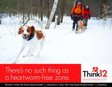 There’s no such thing as a heartworm-free zone. PROTECT YOUR PET FROM HEARTWORM 12 MONTHS A YEAR. TEST FOR HEARTWORM EVE RY 12 MONTHS.