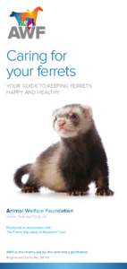 Caring for your ferrets YOUR GUIDE TO KEEPING FERRETS HAPPY AND HEALTHY  Animal Welfare Foundation