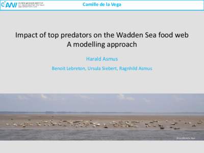 Camille de la Vega  Impact of top predators on the Wadden Sea food web A modelling approach Harald Asmus Benoit Lebreton, Ursula Siebert, Ragnhild Asmus