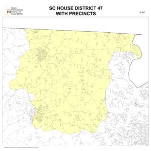 SC HOUSE DISTRICT 47 WITH PRECINCTS Roads Precinct Lines County Line